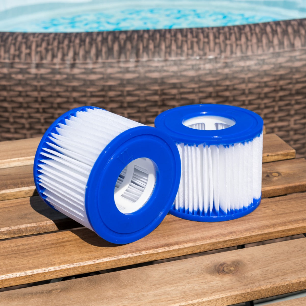 Filter Cartridge (12 Pack)